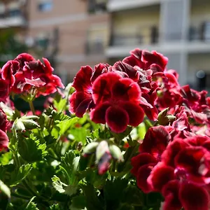 https://hotel-niku.albaniahotels.org